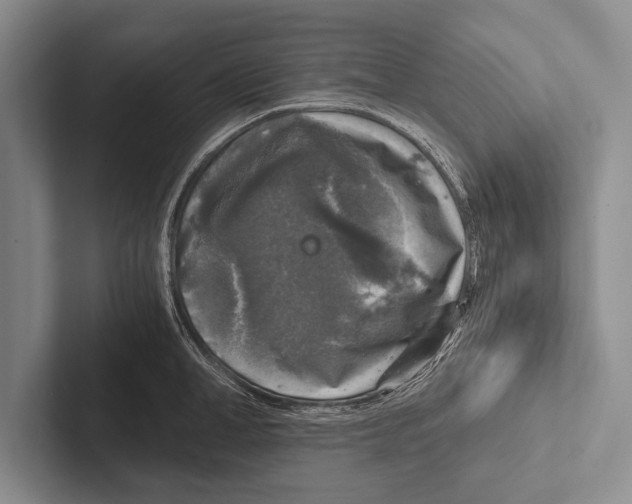 X0000102520998200809051439