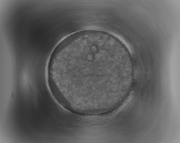 X0000102520999200809051439