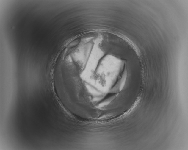 X0000102521001200809051439