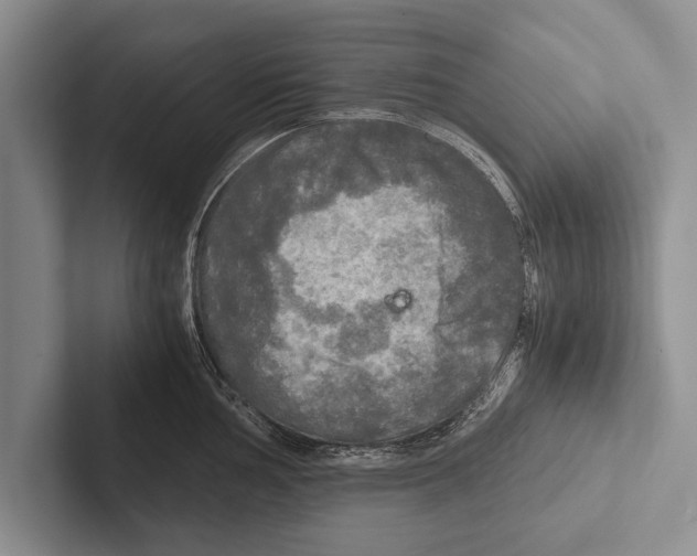 X0000102521002200809051439