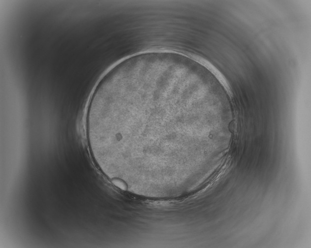 X0000102521004200809051439