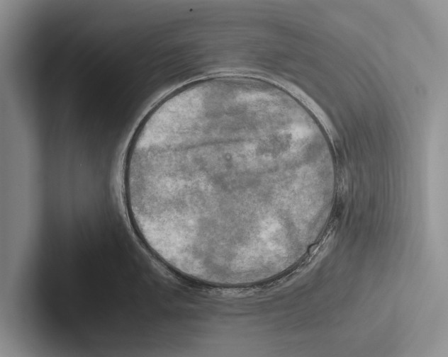 X0000102521005200809051439