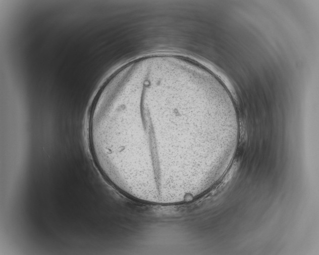 X0000102521006200809051439