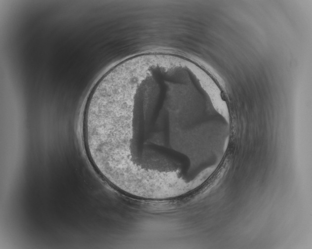 X0000102521007200809051439