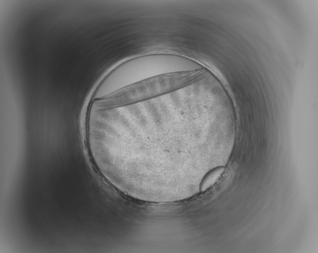 X0000102521008200809051439