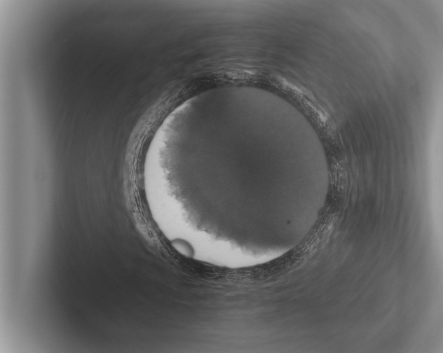 X0000102521009200809051438