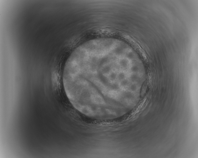 X0000102521010200809051438