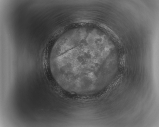 X0000102521014200809051438