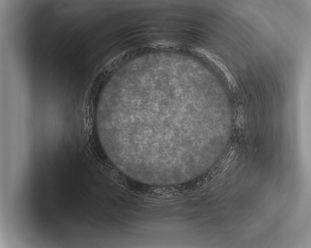 X0000102521015200809051438