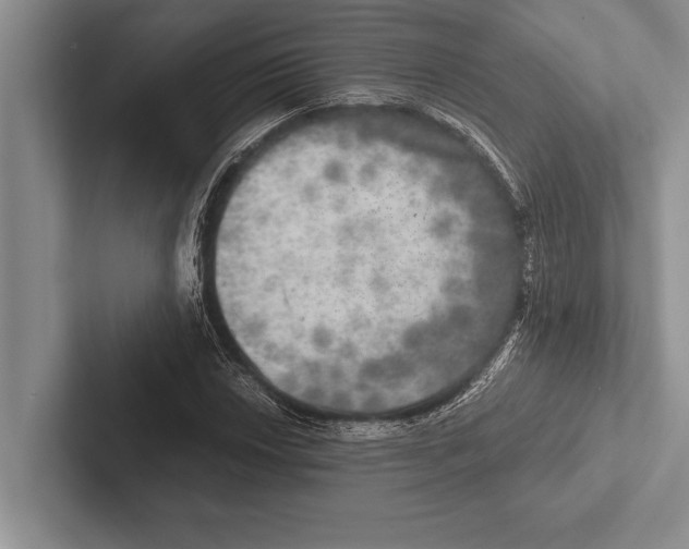 X0000102521018200809051438