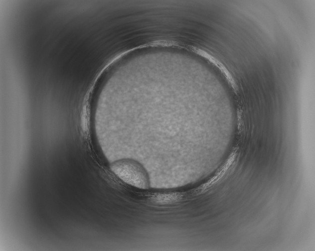 X0000102521021200809051439