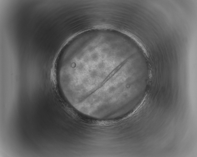 X0000102521022200809051439