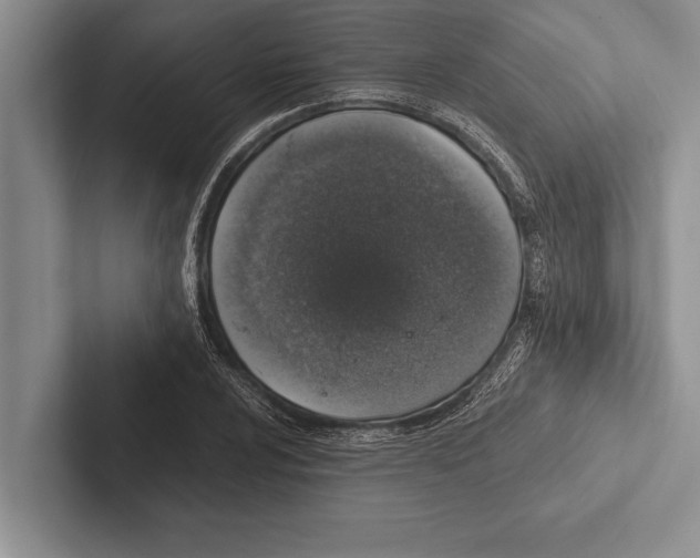 X0000102521024200809051439