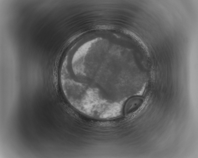 X0000102521025200809051439