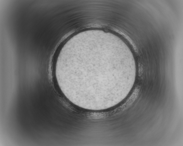 X0000102521026200809051439