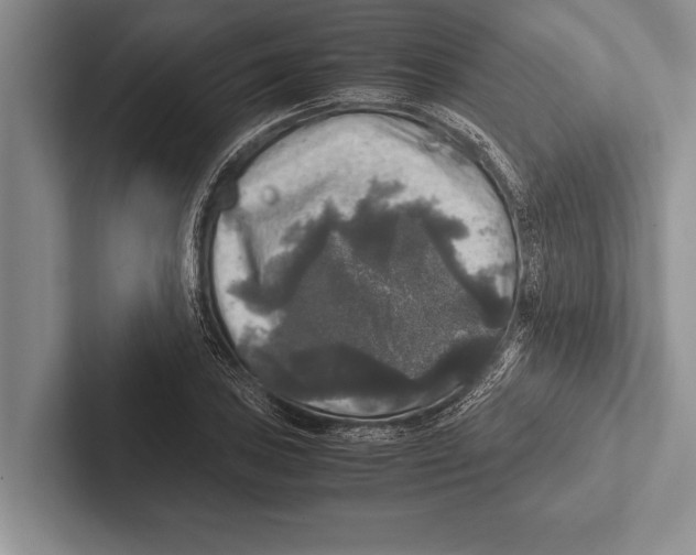 X0000102521027200809051439