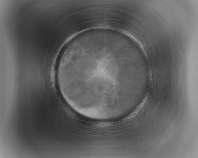 X0000102521029200809051439