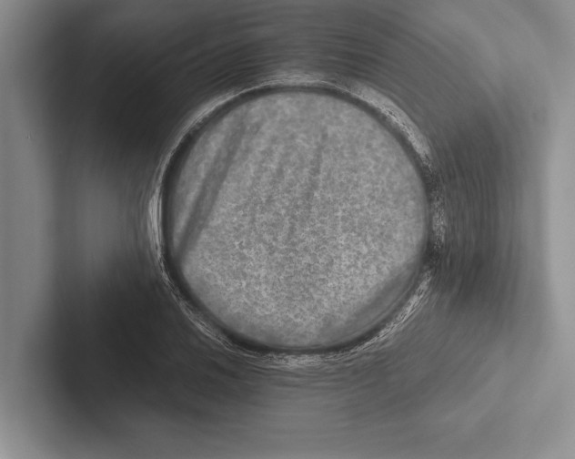 X0000102521030200809051439