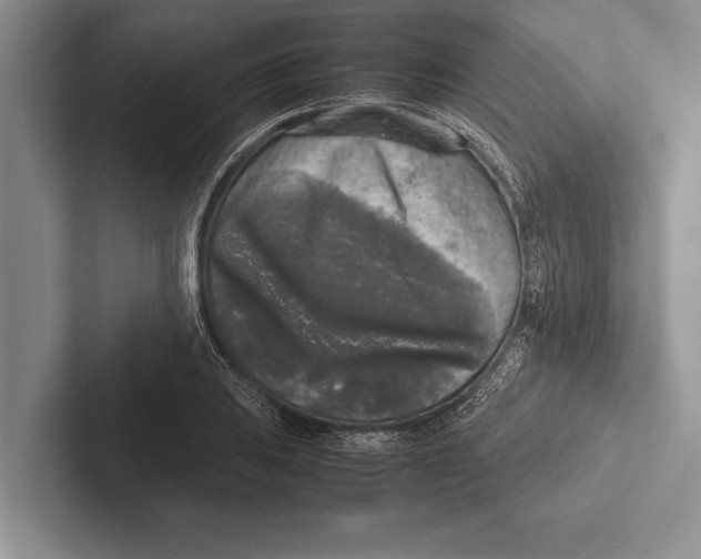 X0000102521031200809051439