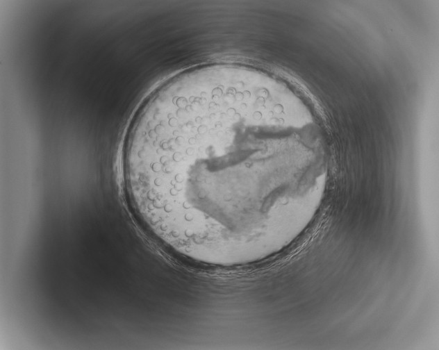 X0000102521032200809051439