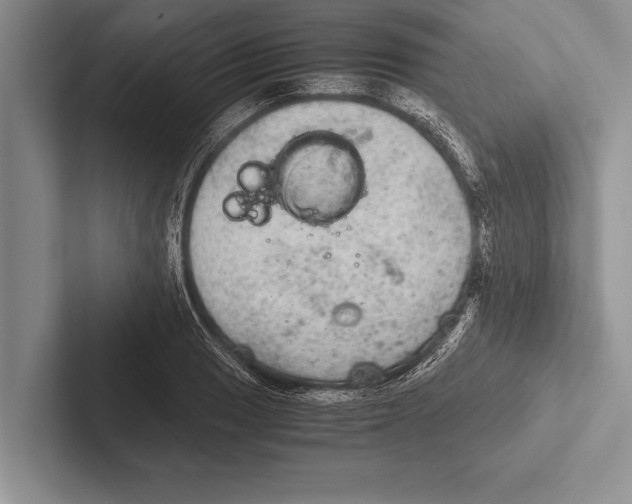 X0000102521033200809051439