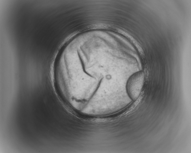 X0000102521034200809051439