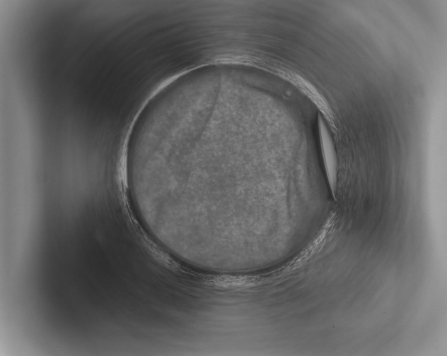 X0000102521036200809051439