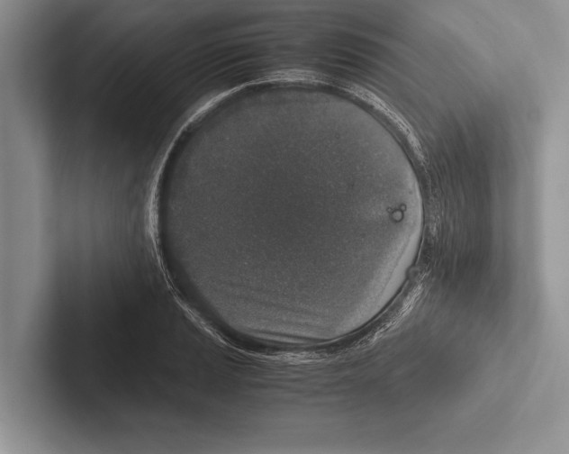 X0000102521037200809051439