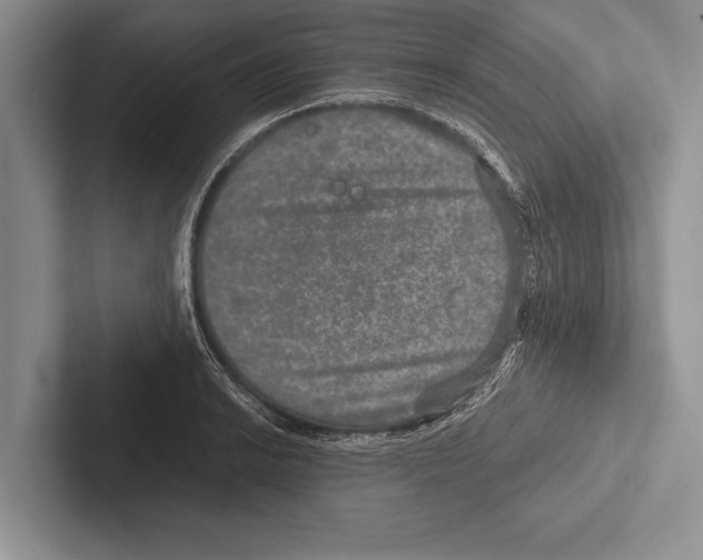 X0000102521038200809051439