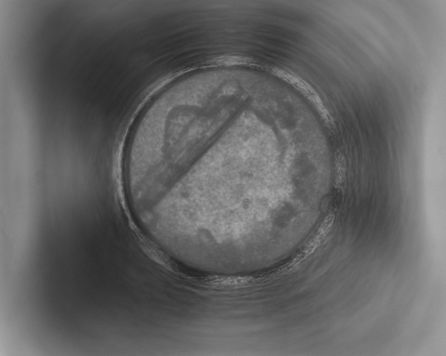 X0000102521039200809051439