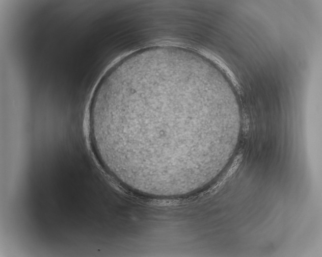 X0000102521040200809051439