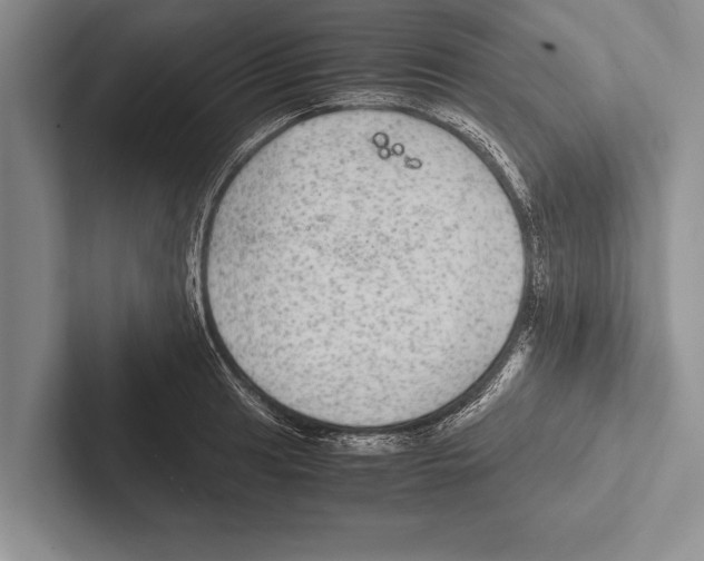 X0000102521041200809051439