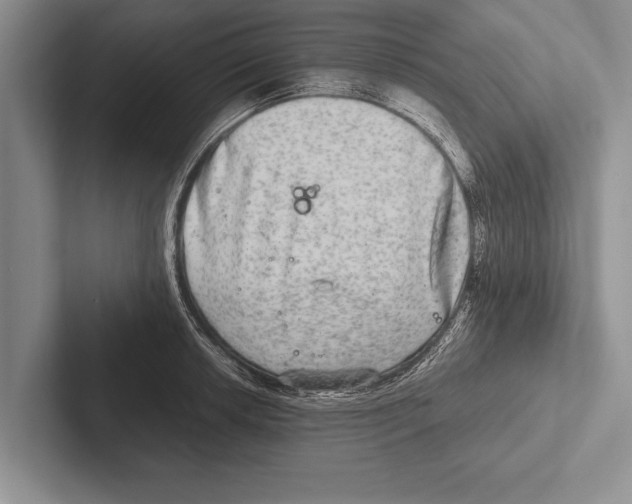 X0000102521042200809051439