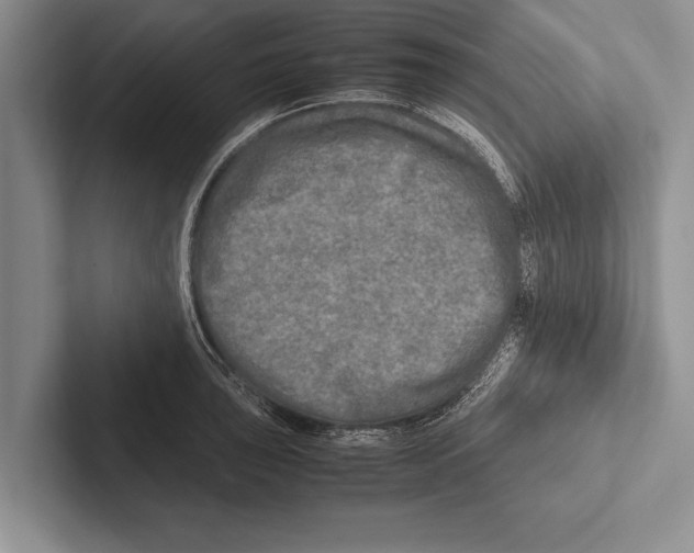 X0000102521043200809051439