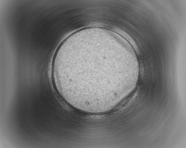 X0000102521044200809051439