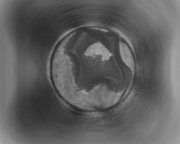 X0000102521045200809051439