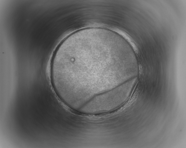 X0000102521046200809051439