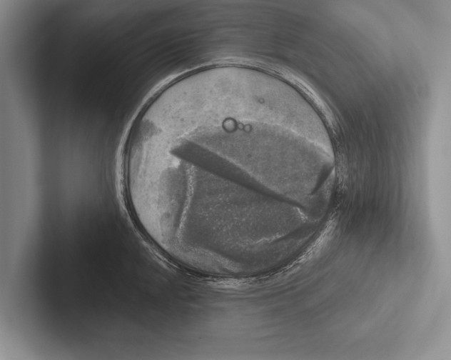 X0000102521048200809051439