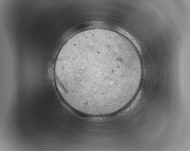 X0000102521049200809051439