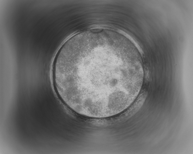 X0000102521050200809051439