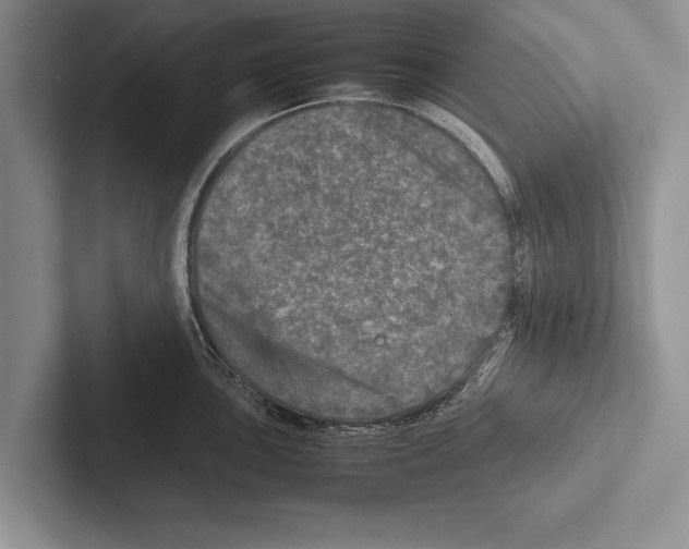 X0000102521051200809051439