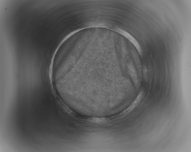 X0000102521052200809051439