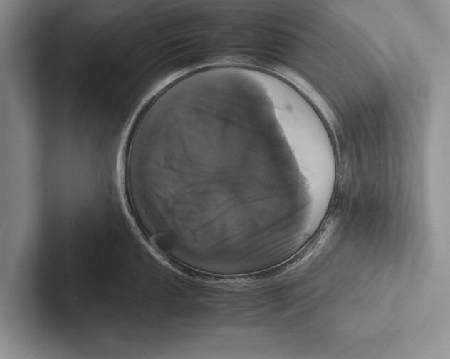 X0000102521053200809051439