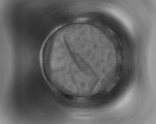 X0000102521054200809051439