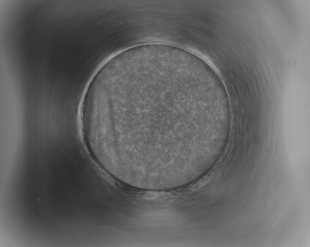 X0000102521056200809051439