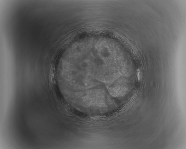 X0000102521059200809051438