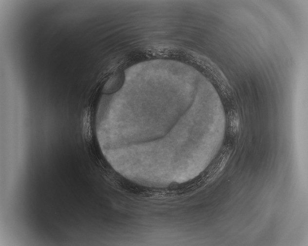 X0000102521060200809051438