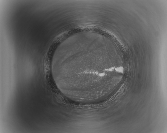 X0000102521063200809051438