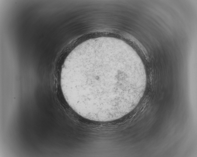 X0000102521064200809051438