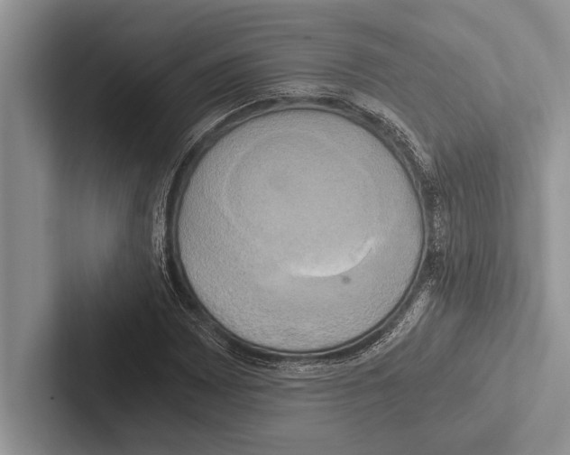 X0000102521065200809051438